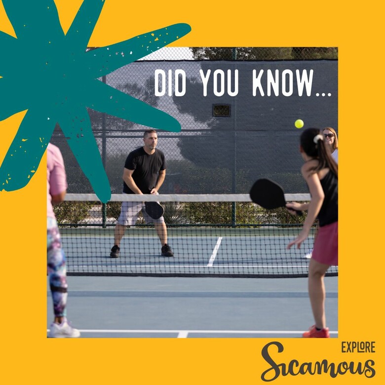 Did you know Sicamous has pickleball courts?