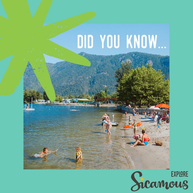 Did you know there are NINE beaches in the Sicamous area?