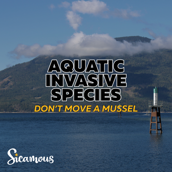 Invasive mussels