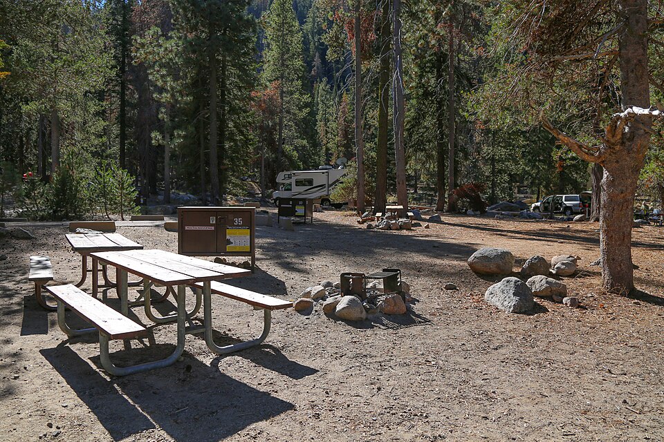 Family Tree Riverside RV & Campground